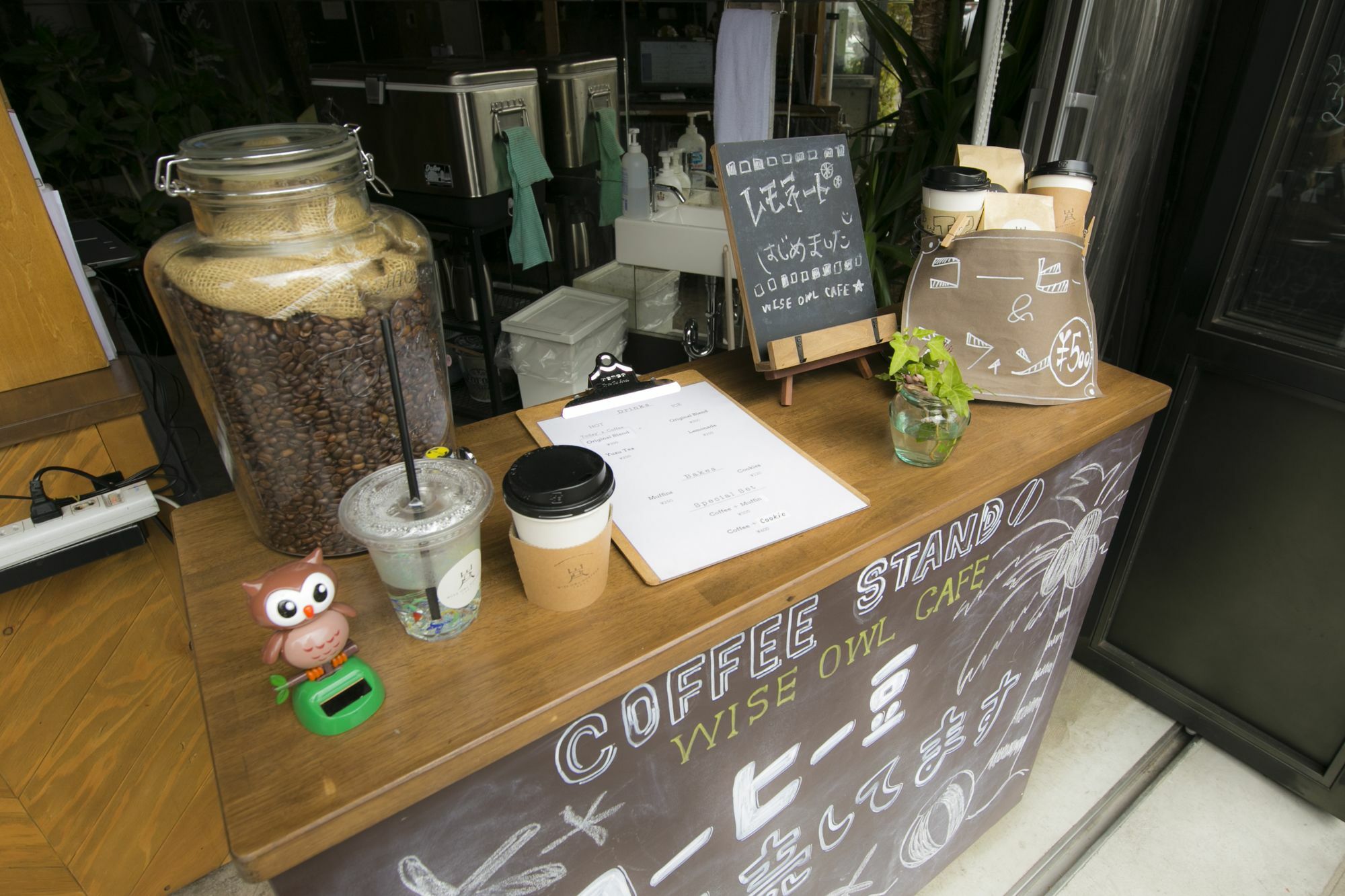 Hostal Wise Owl *